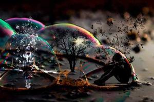 La Fusión Cognitiva